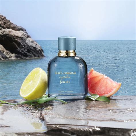 dolce gabbana pour homme forever|d&g light blue men fragrantica.